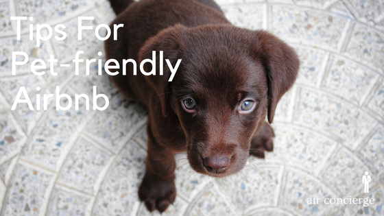 Pet Friendly Airbnb Listing ?width=1024&name=Pet Friendly Airbnb Listing 